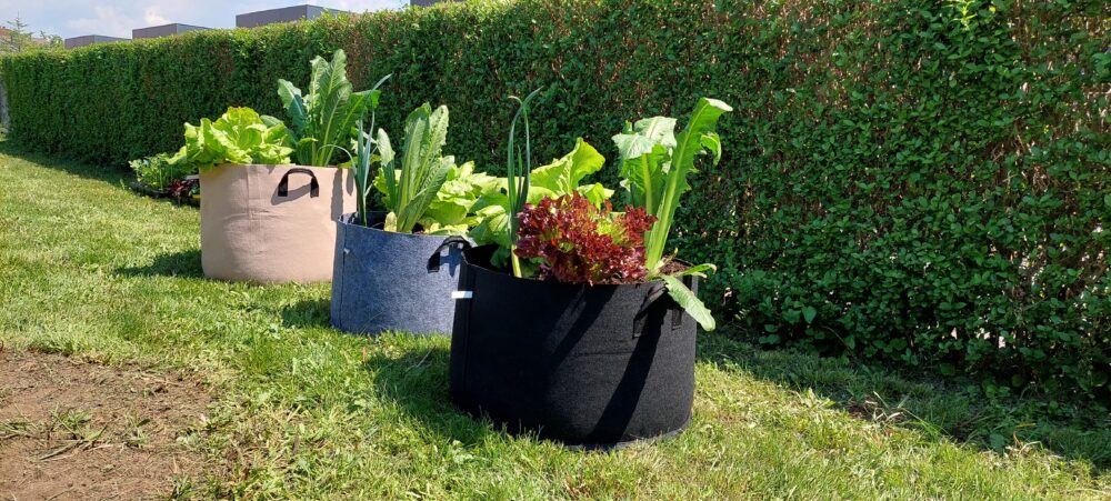 Pflanzsäcke