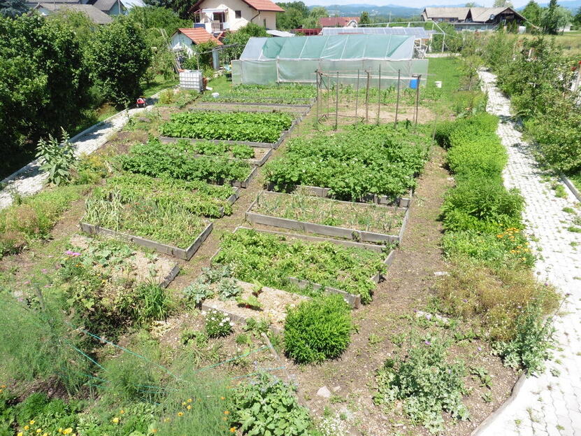 Natürlich gärtnern