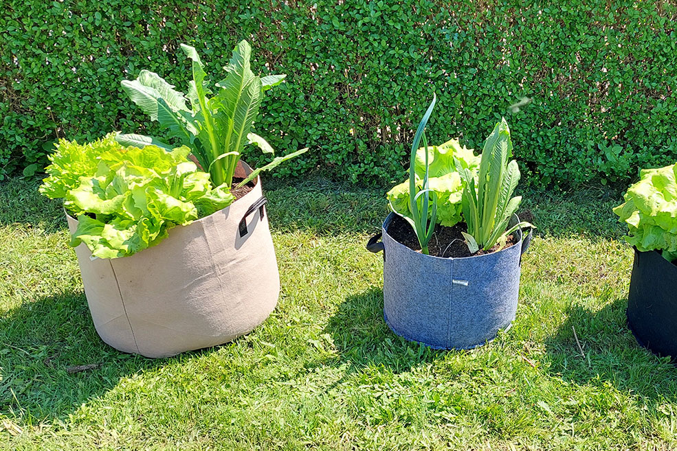 Pflanzsack 40l