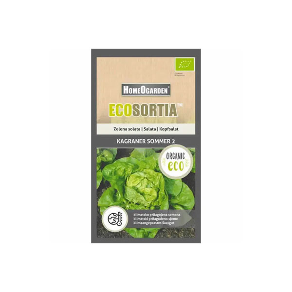 Bio-Saatgut Grüner Salat Kagraner Sommer