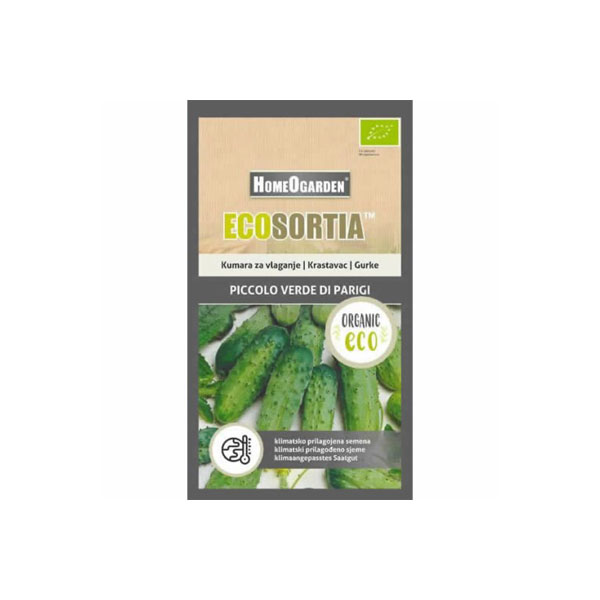 Bio-Saatgut Gurke Piccolo verde di Parigi