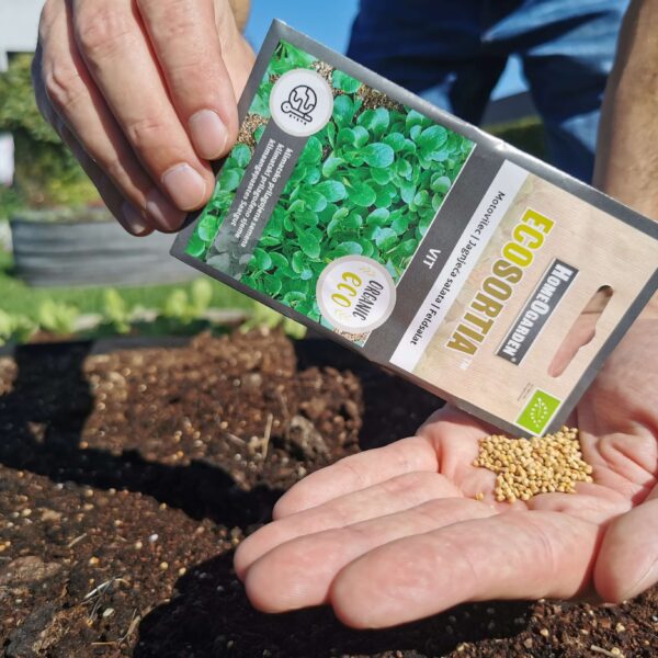 Saatgut Feldsalat VIT samen