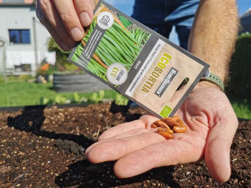 Bio-Saatgut Gartenbohne Maxi Samen