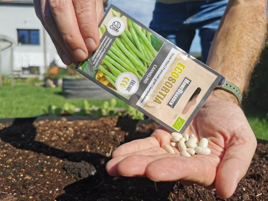 Bio-Saatgut Gartenbohne Cannelino Samen