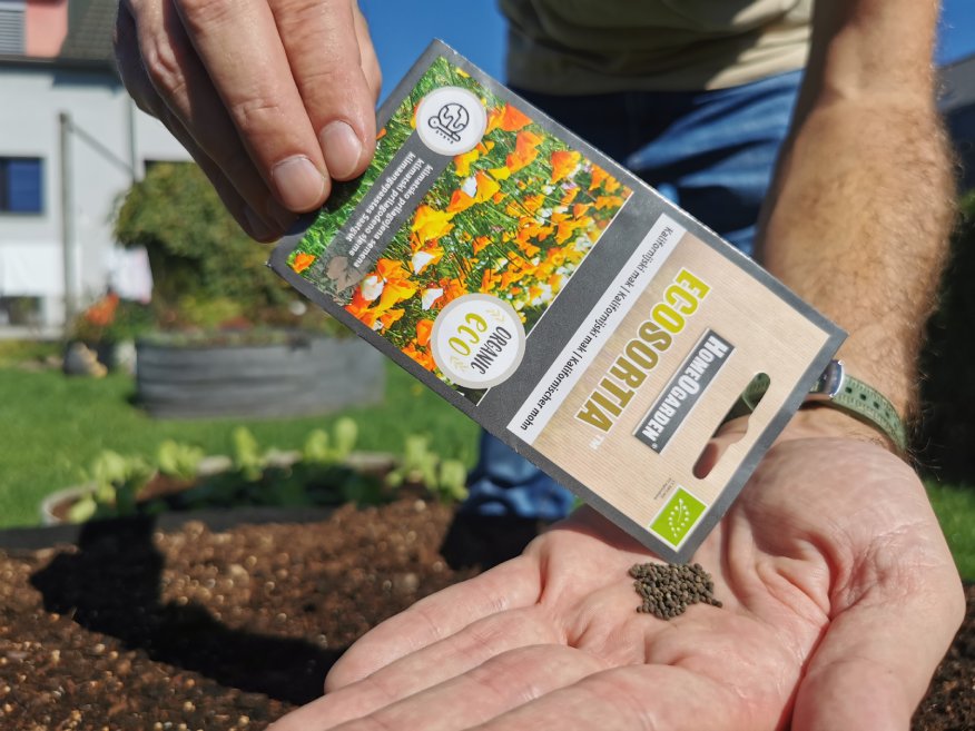 Kalifornischer Mohn Bio-Saatgut