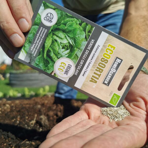 Saatgut Grüner Salat Verde Degli Ortolani samen