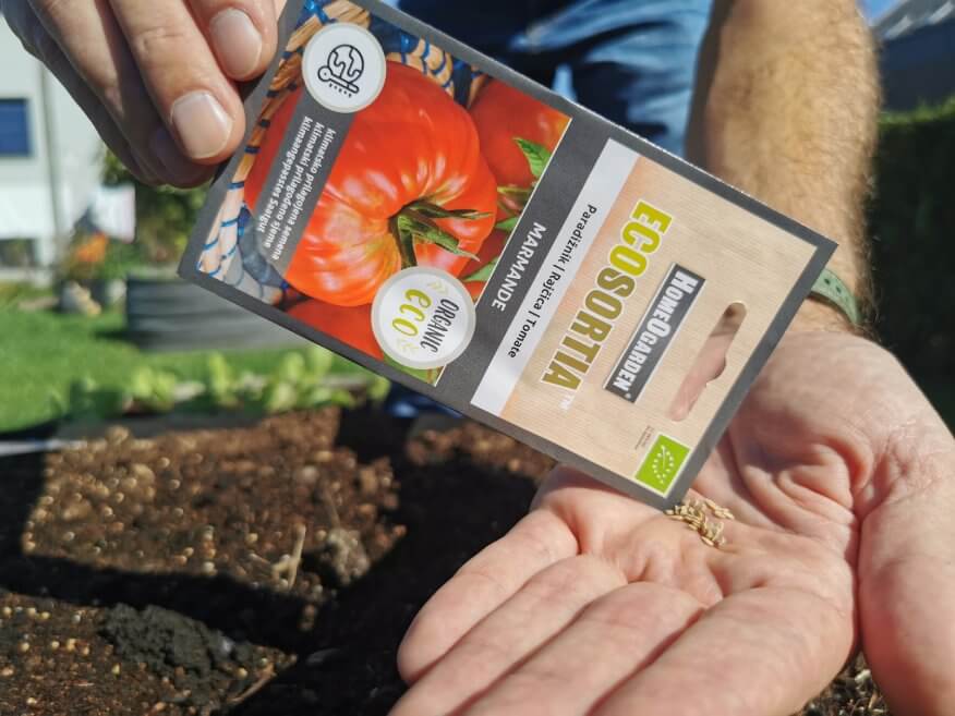 Marmande Bio-Saatgut Tomate