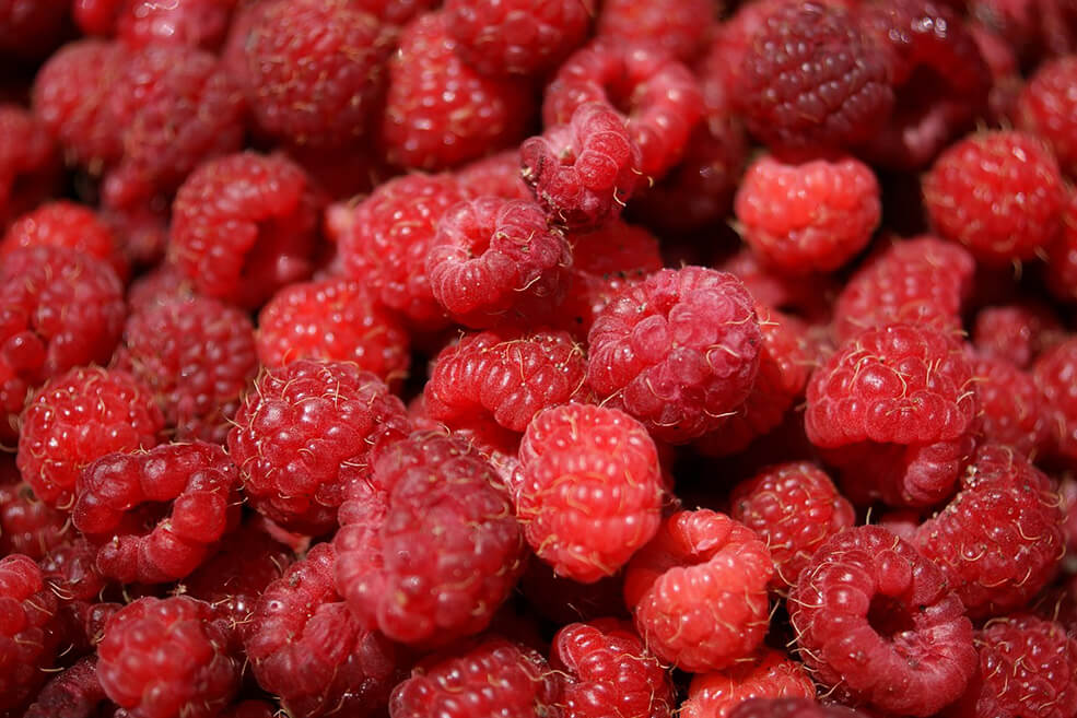Organische Himbeeren