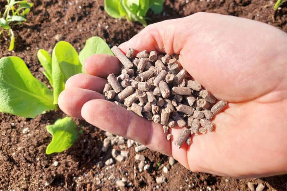 Mykorrhiza Dünger Organischer Garten 4kg