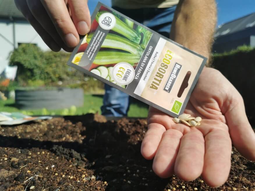 Zucchini Ortolana di Faenza Samen
