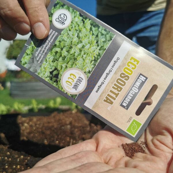 Bio-Oregano Saatgut