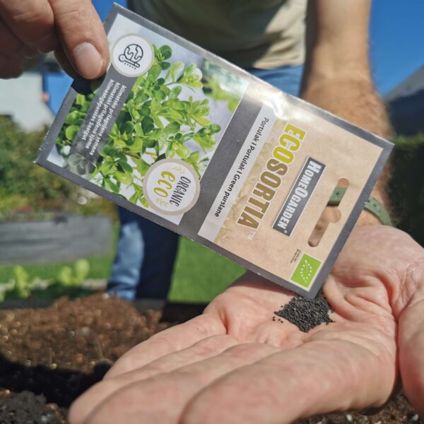 Bio-Saatgut Portulak Samen