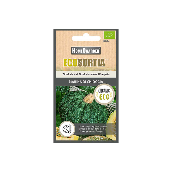 Winterkürbis Marina Di Chioggia