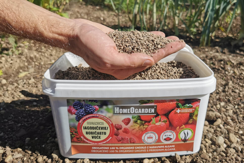 Organischer Erdbeerendünger Granulatform
