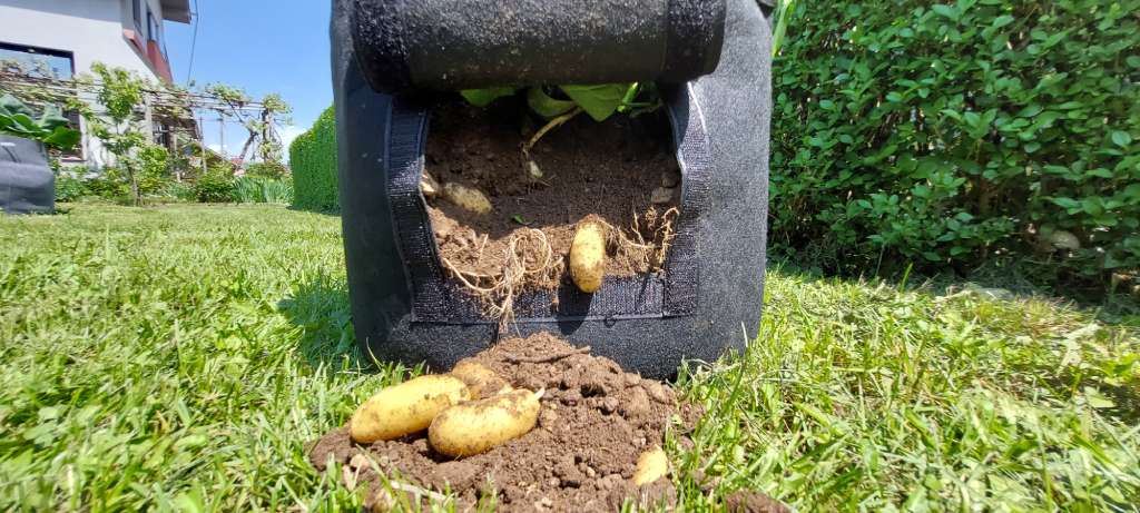Pflanzbeutel für Kartoffeln