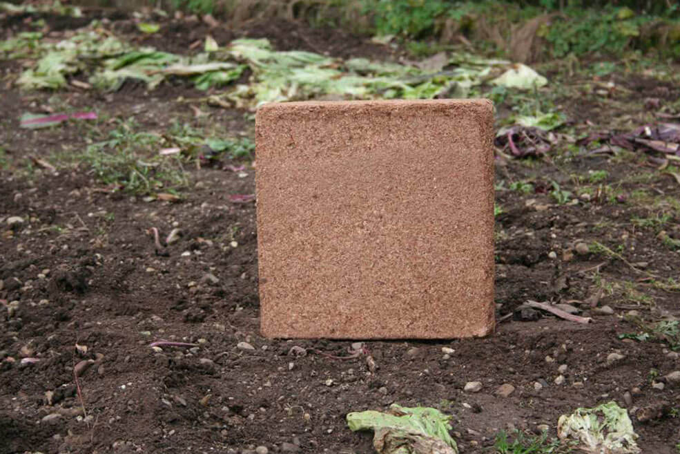 Organische Erde aus Kokosfasern