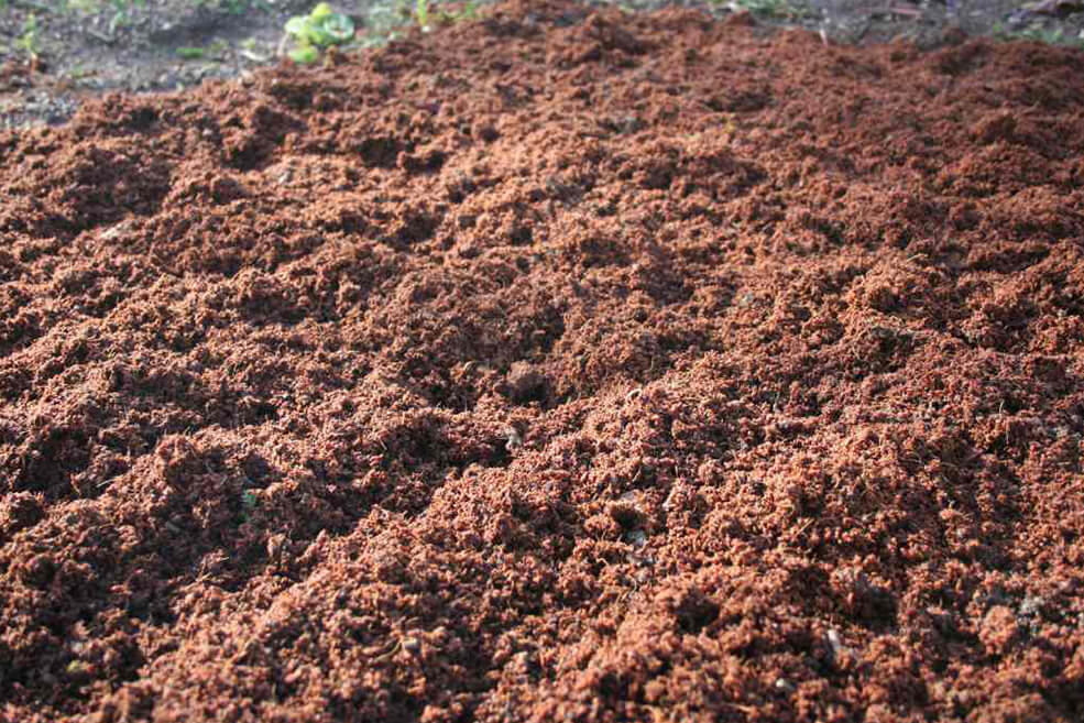 Kokosfasern im Garten