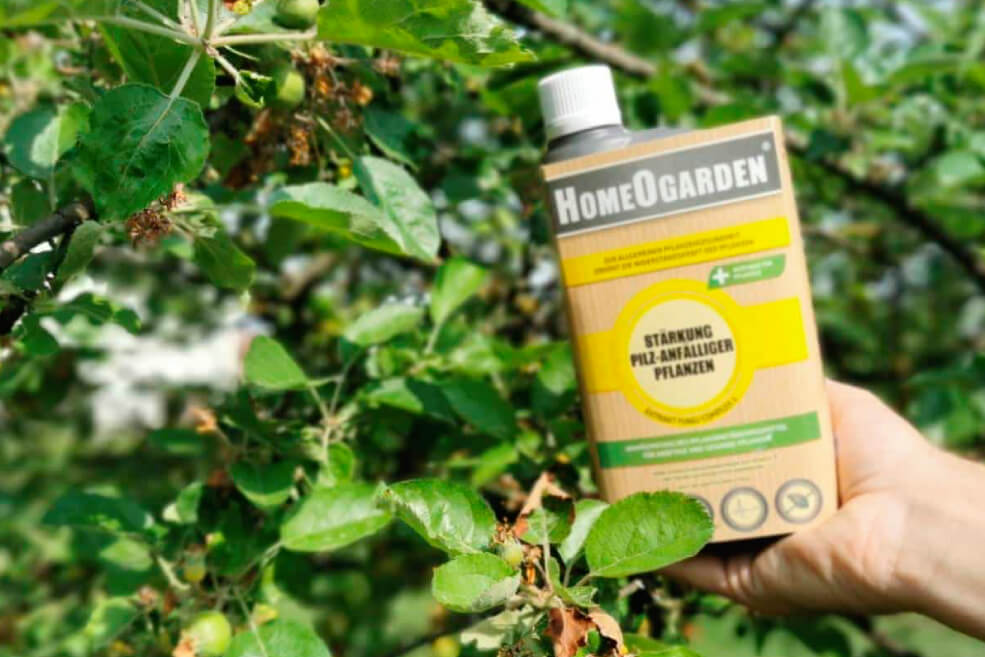 Natürlicher Pflanzenschutz