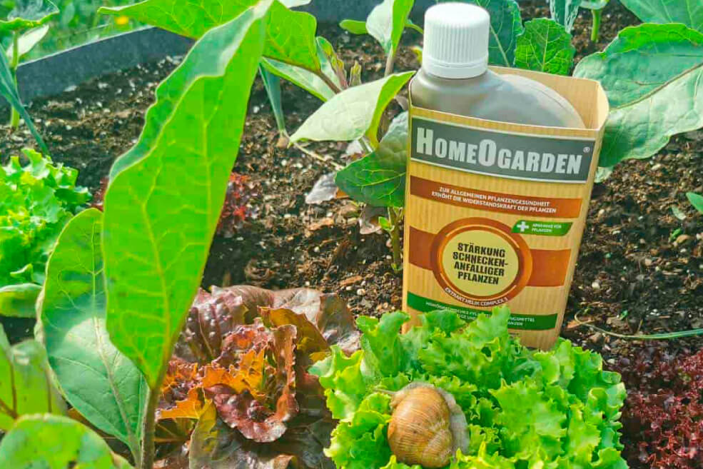 HomeOgarden-Pflanzenschutzmittel