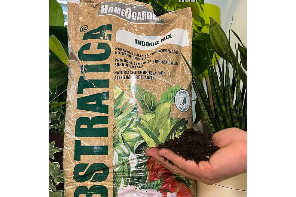 Indoor Mix Kompost Substrat