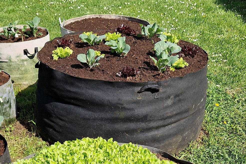 Pflanzsack 128 l schwarz