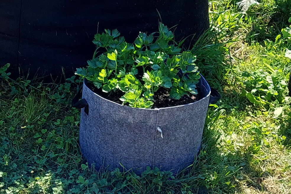 Pflanztasche für Kräuter 37l