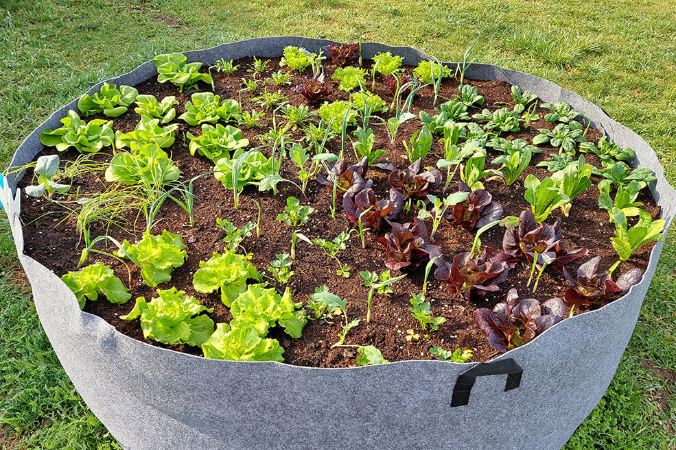 Hochbeet 1130l PlantIN
