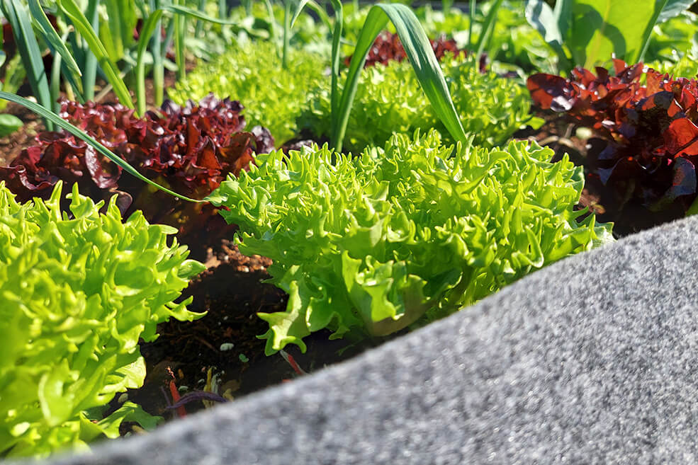Hochbeet 378 L HomeOgarden Grau