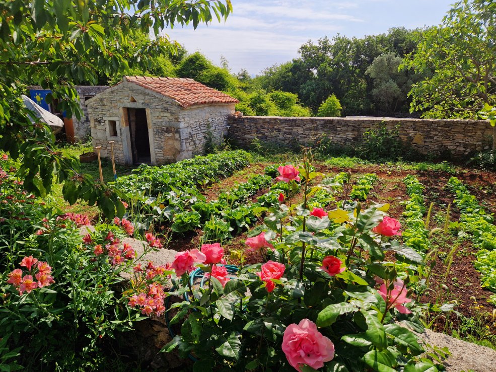 ökologischer Garten