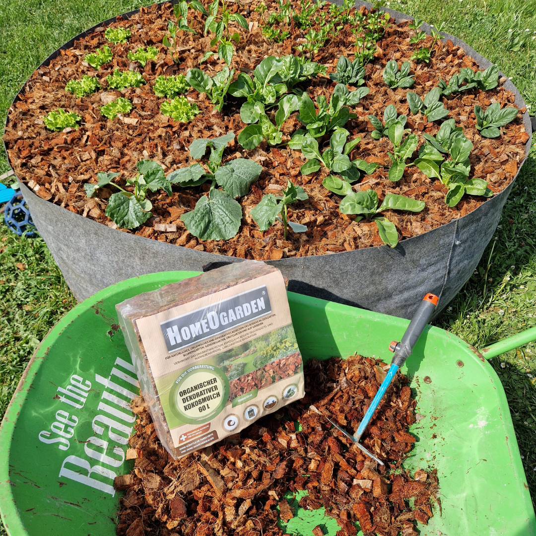 Hitzeschutz im Garten