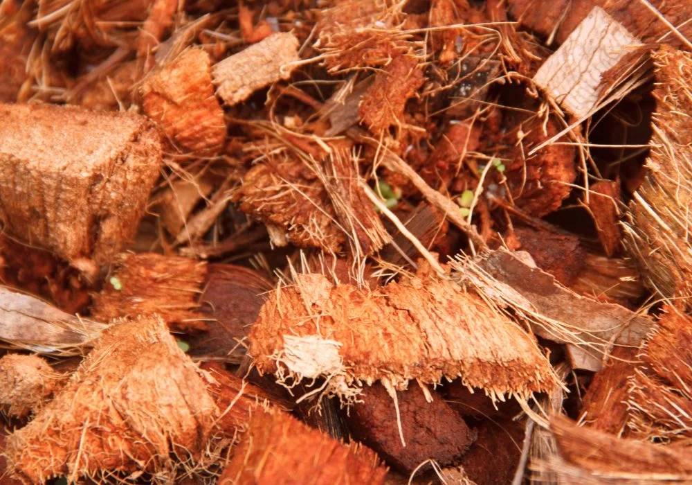 Kokosmulch gegen Unkraut im Garten