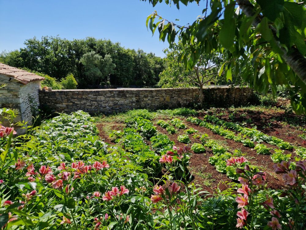 Ökologisches Gärtnern mit Aleš