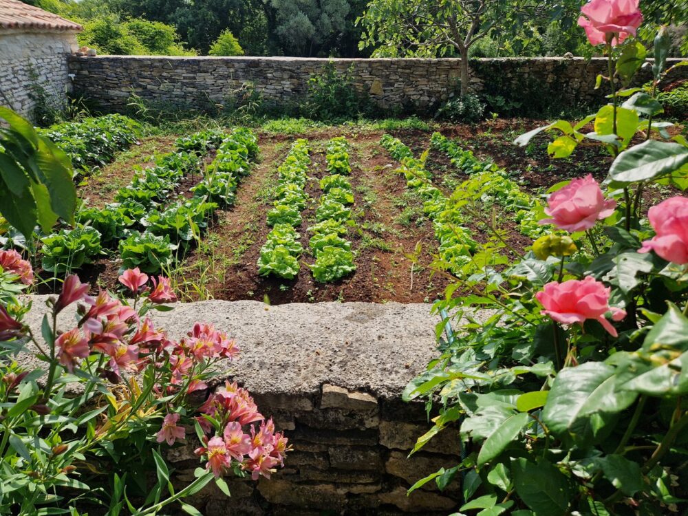 Warum Gärtnern uns ständig Neues lehrt